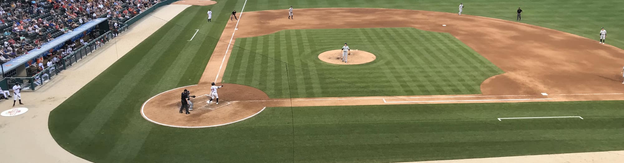 green baseball field Charleston