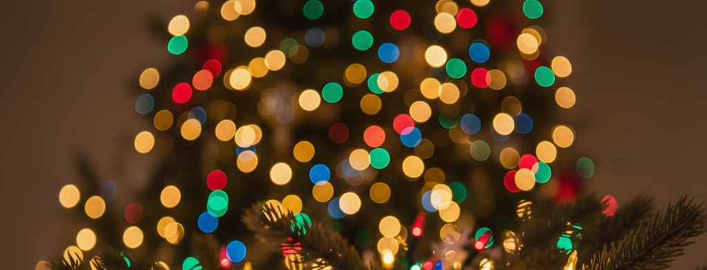 bokeh christmas lights Charleston